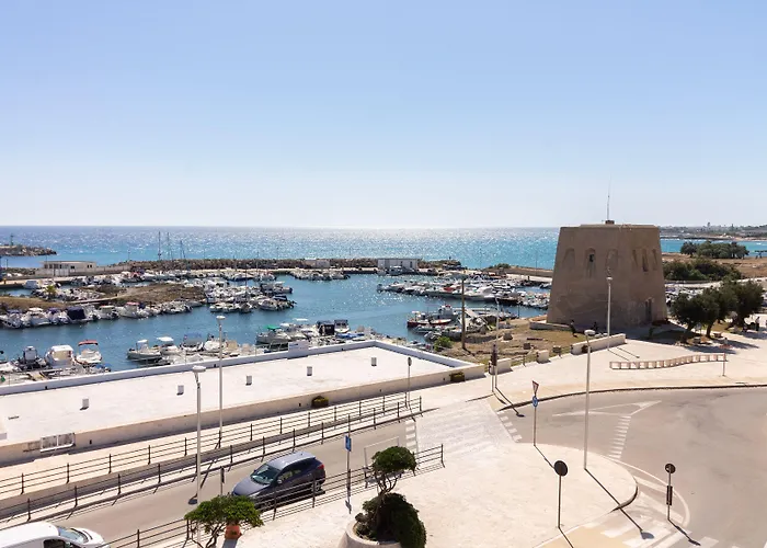 Da 3* サン・フォカ